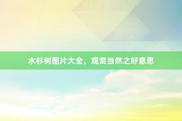 水杉树图片大全，观赏当然之好意思