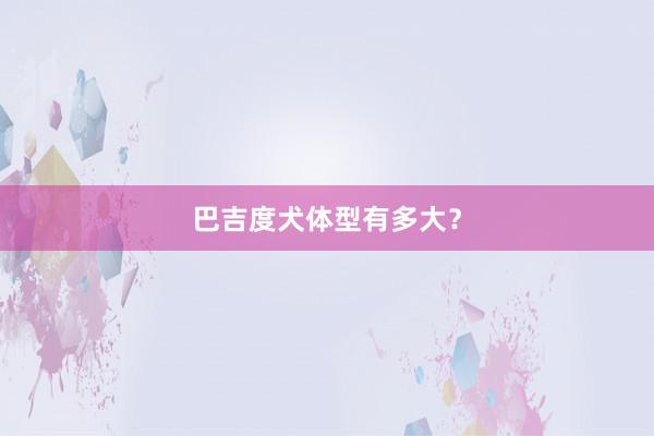 巴吉度犬体型有多大？