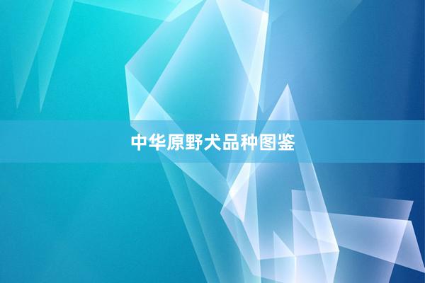 中华原野犬品种图鉴